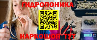 дурь Кингисепп