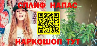 дурь Кингисепп