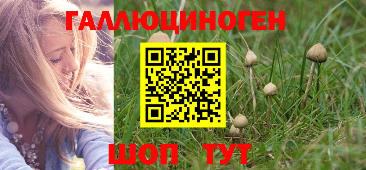 сколько стоит  Галлюциногенные грибы Psilocybine cubensis  Кудымкар  Вход с VPN  Галлюциногенные грибы мицелий 